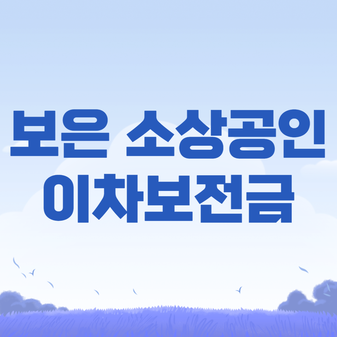 보은군 소상공인 이차보전