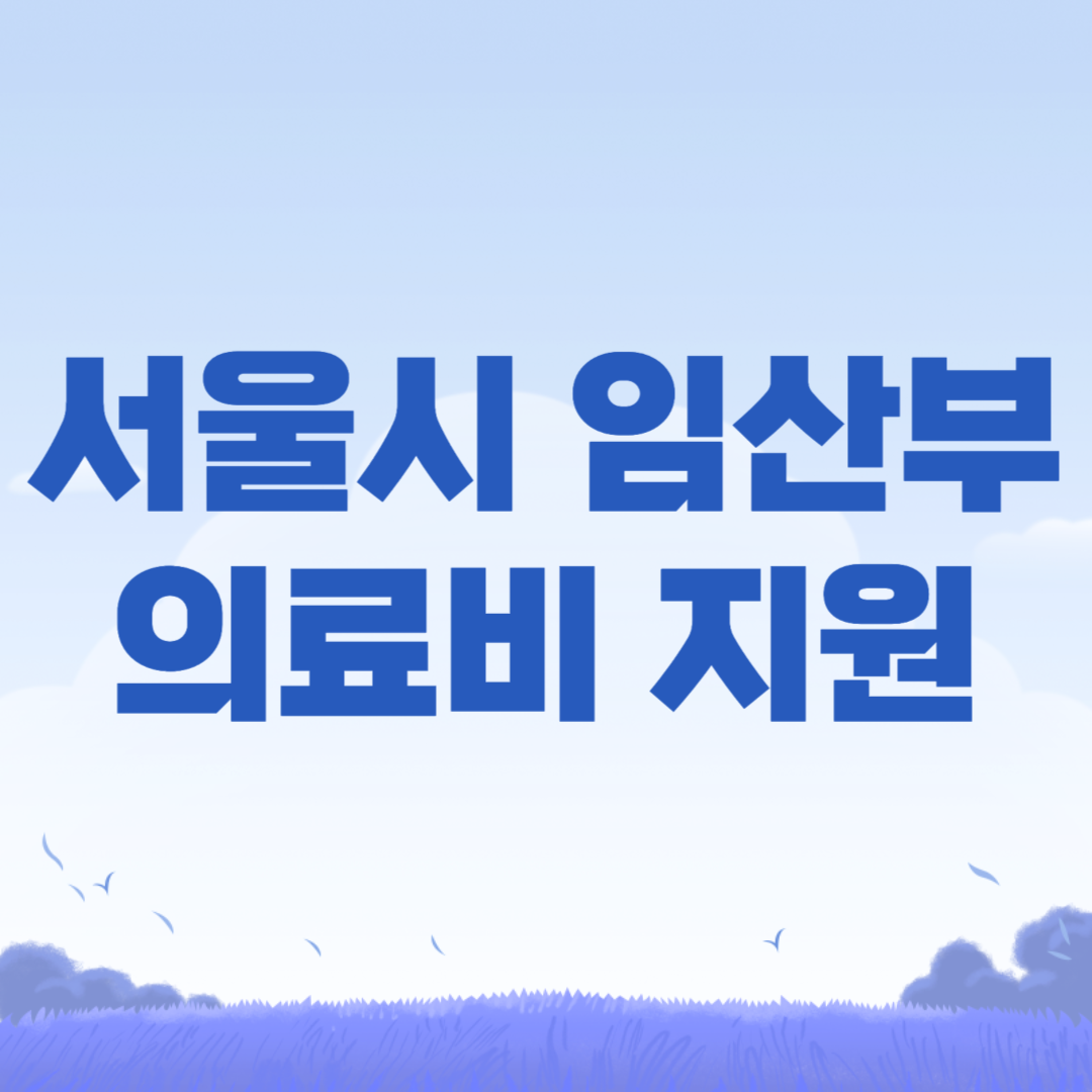 2024년 서울시 35세 이상 임산부