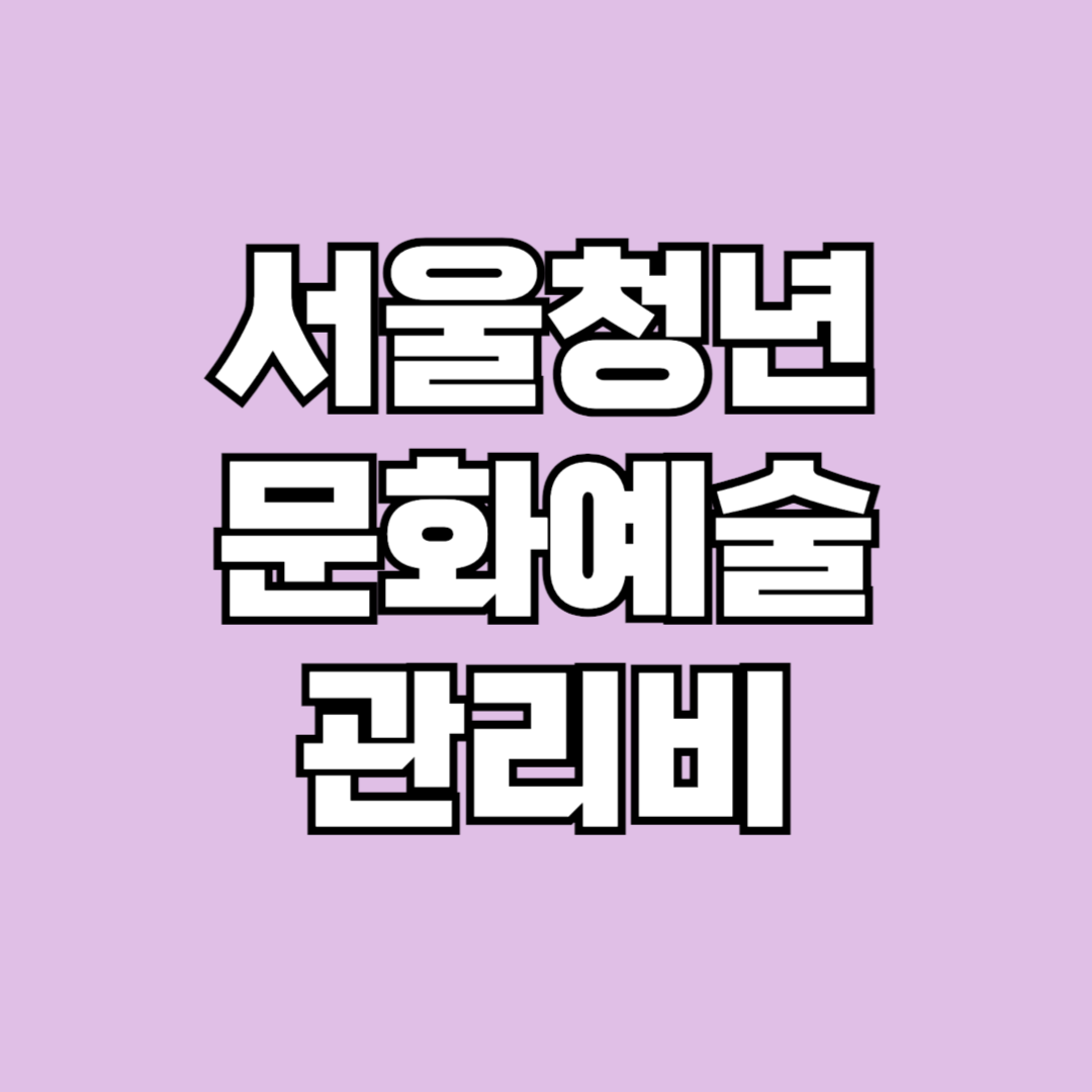 2024년 서울청년문화패스 문화예술 관람비