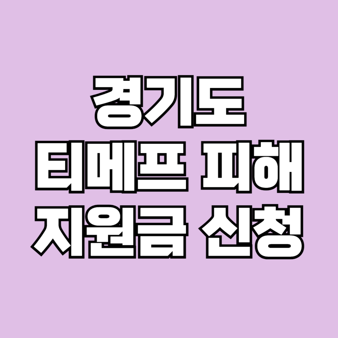 경기도 티메프 피해 지원금