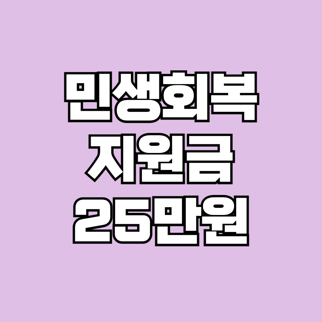 민생회복지원금 25만원
