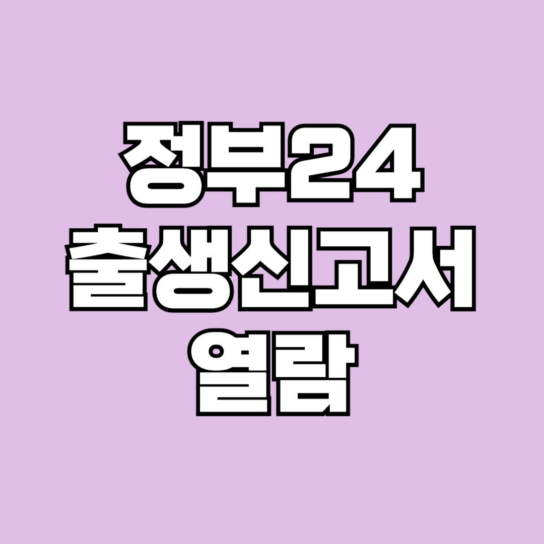정부24 출생신고서 열람