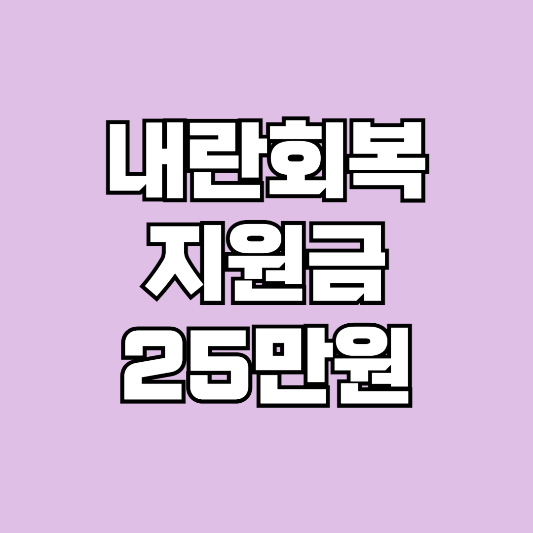 내란회복지원금 25만원