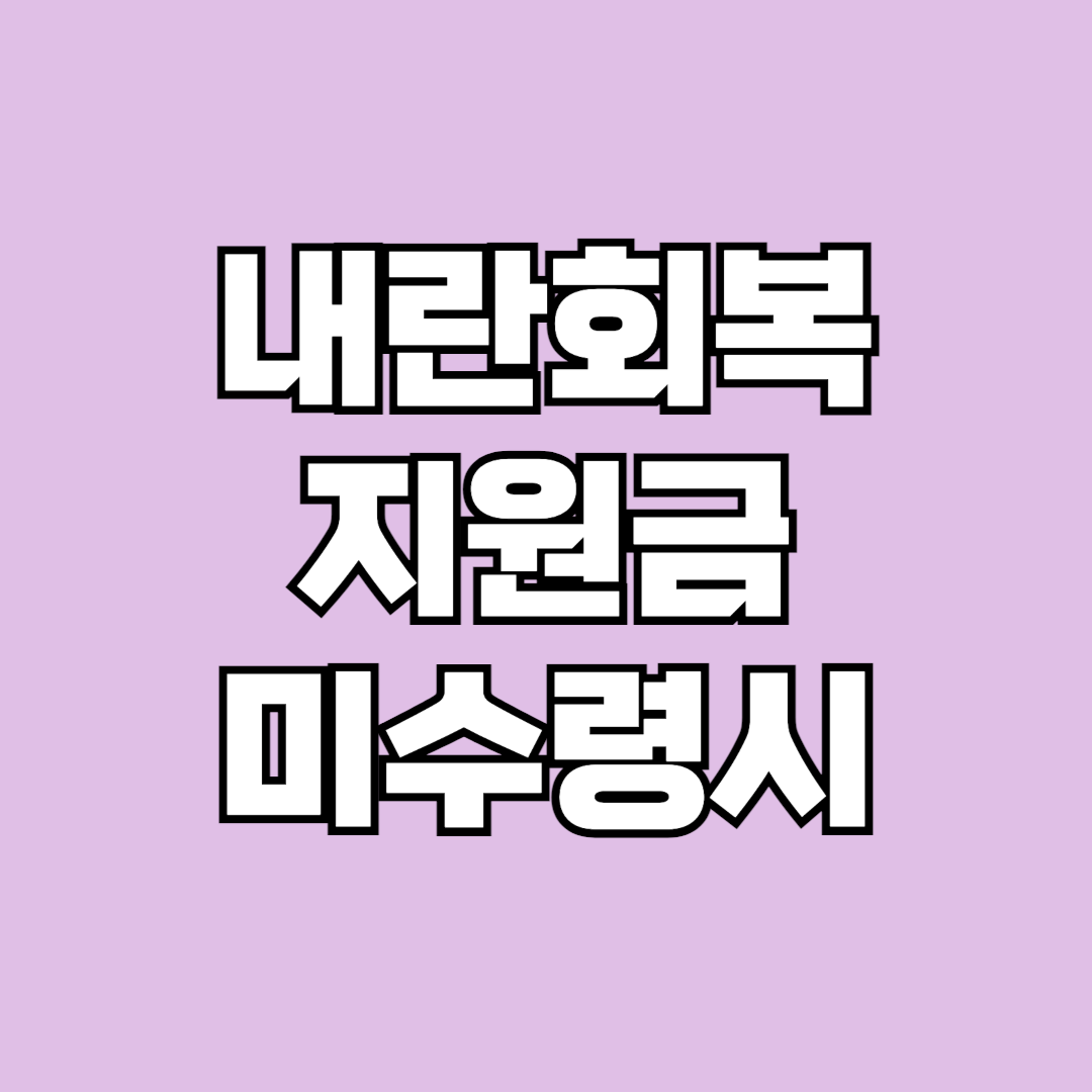 내란회복지원금 미수령시 대처방법