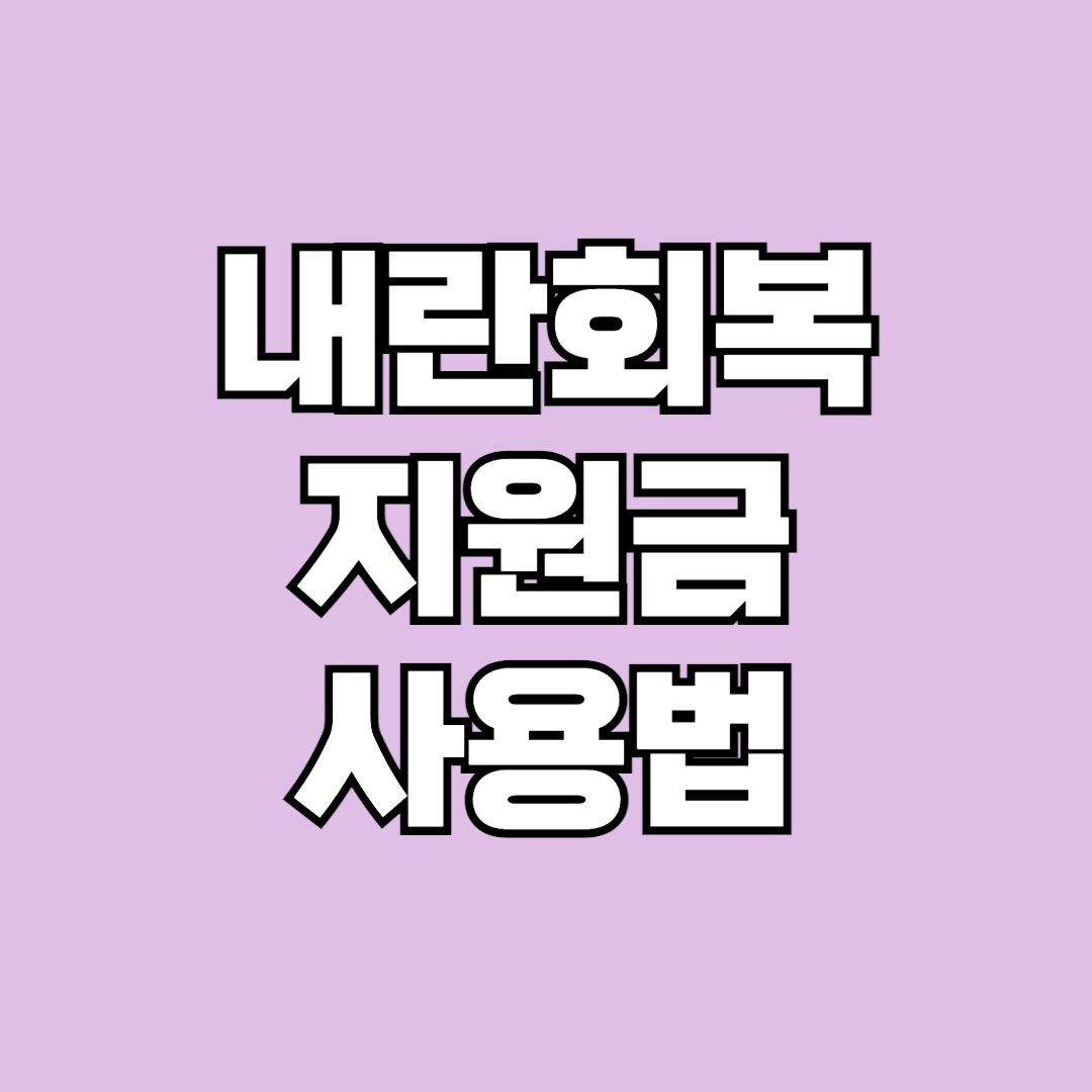 내란회복지원금 사용법