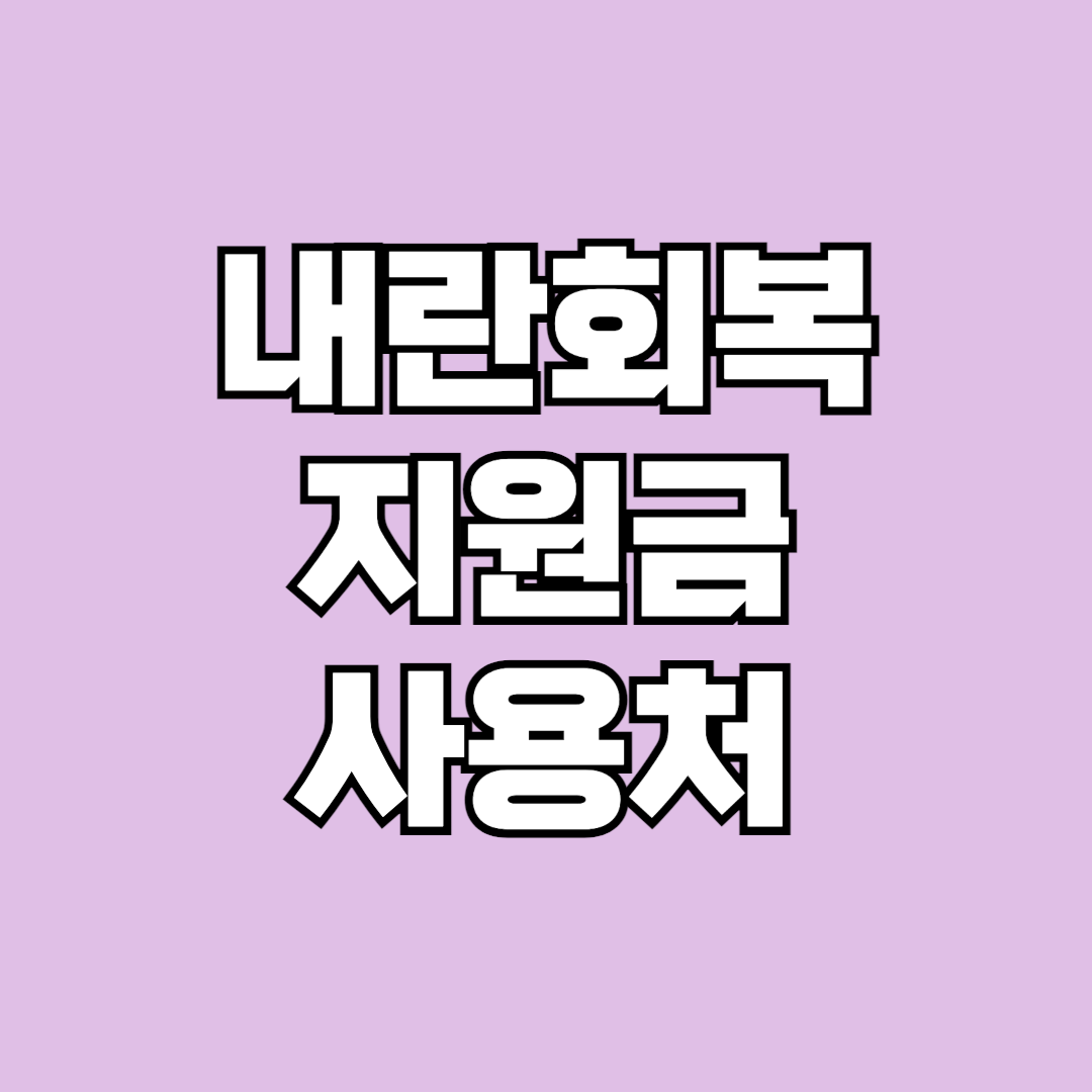 내란회복지원금 사용처