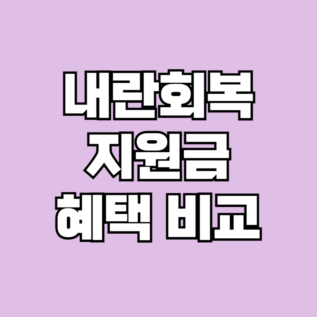 내란회복지원금 혜택 비교