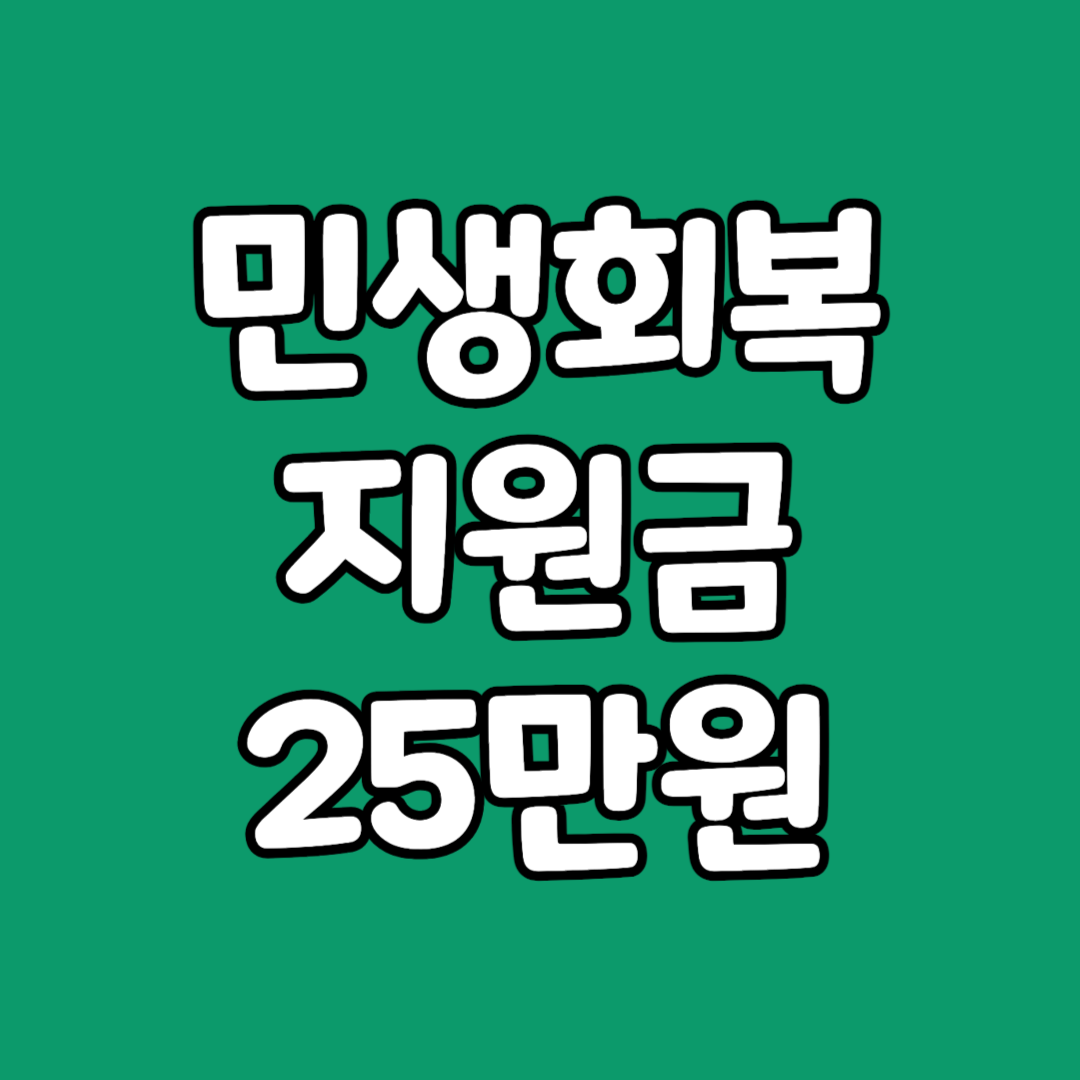 민생회복지원금 25만원